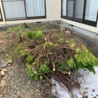 富山県の剪定した枝の回収前現場写真